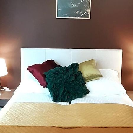 Luxury Apartment - Rakowicka 6 Kraków Zewnętrze zdjęcie